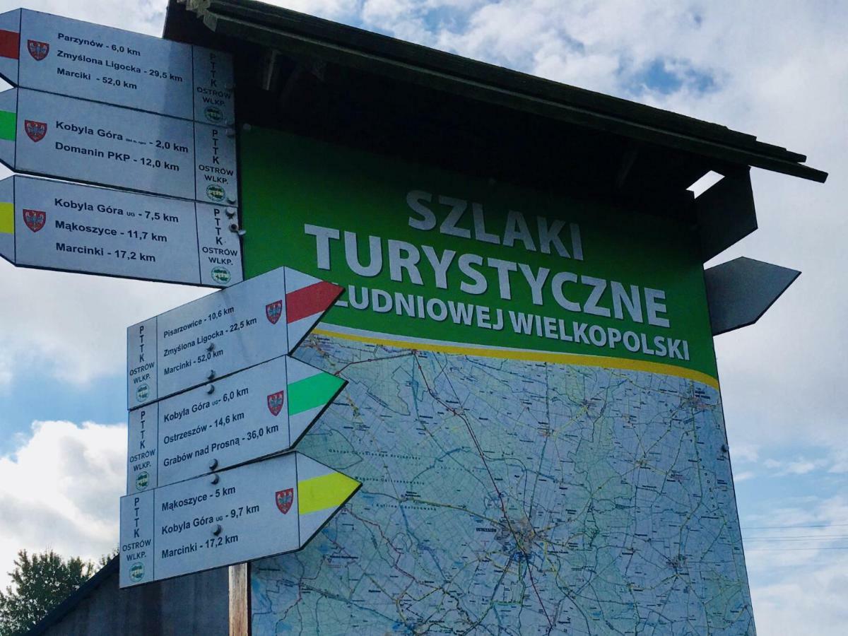 Kobyla Góra Ignacowka 게스트하우스 외부 사진